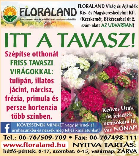 A projekt teljes bruttó összköltsége 307 millió forint, az önkormányzat ebből 208 millió forintot igényelhet meg a pályázaton,