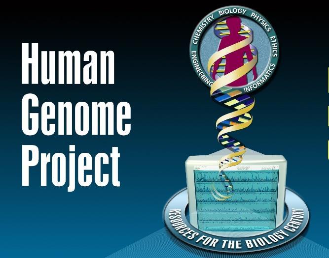 kromoszóma rövid karján található génkomplex Mb méretű, ami az emberi genom mintegy ezredrészét jelenti, és méretében megfelel az E. coli teljes genomjának.