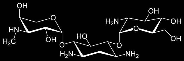 Fehérjeszintézis III. - Aminoglikozidok jellemzők: gyors baktericid target: 30S riboszóma (irreverz.