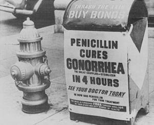 Penicillium notatum 1936, May &