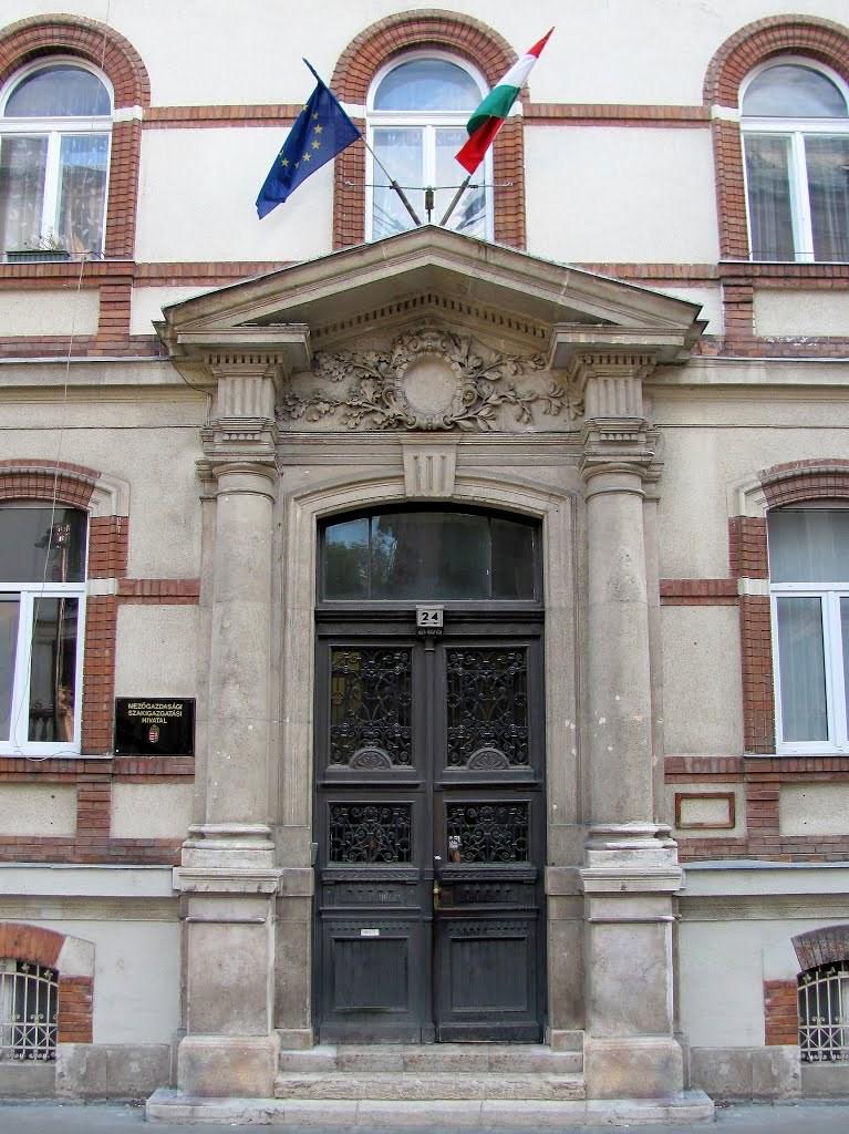 Felügyeleti rendszer