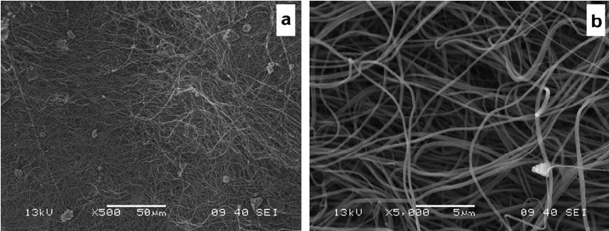 2.2.4.1. ábra. PC nanoszálak SEM felvételei a. 500 és b.