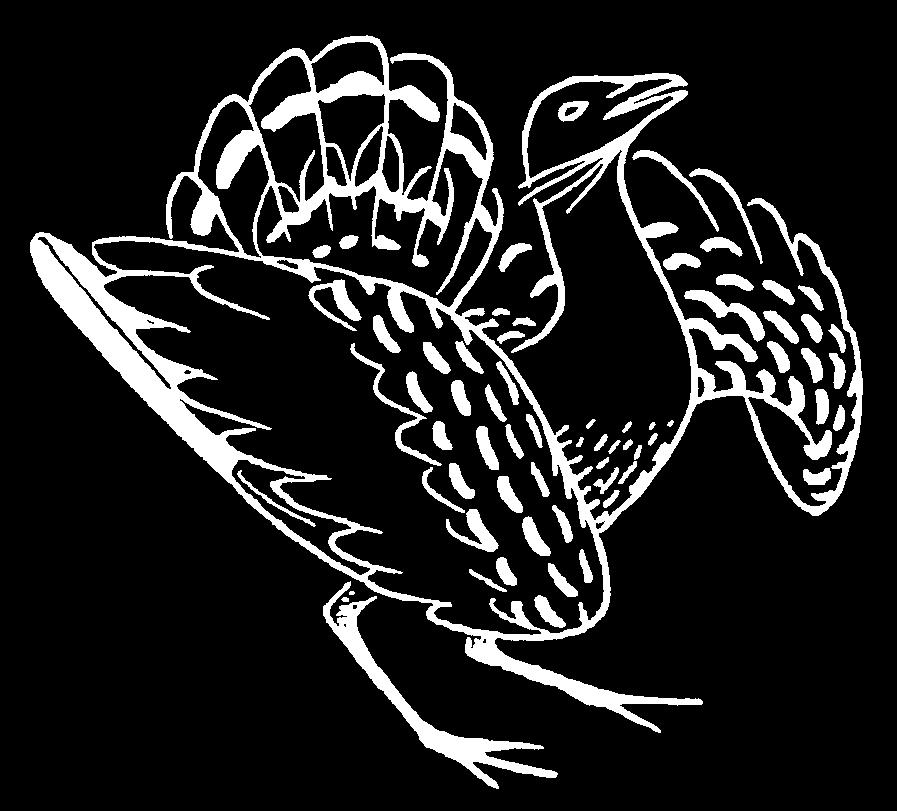 3, 4 Received: September 10, 2018 Revised: September 27, 2018 Accepted: November 04, 2018 This is a contribution submitted to the Proceedings of the World Conference on the Peregrine Falcon in