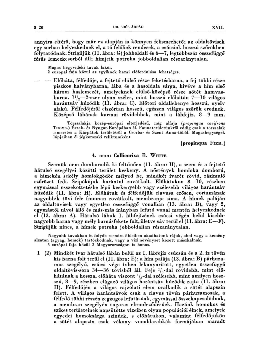 8 20 DR. SOÓS ÁRPÁD XVII. annyira eltérő, hogy már ez alapján is könnyen felismerhető; az oldaltövisek egy sorban helyezkednek el, a tő felőliek rendesek, a csúcsiak hosszú szőrökben folytatódnak.
