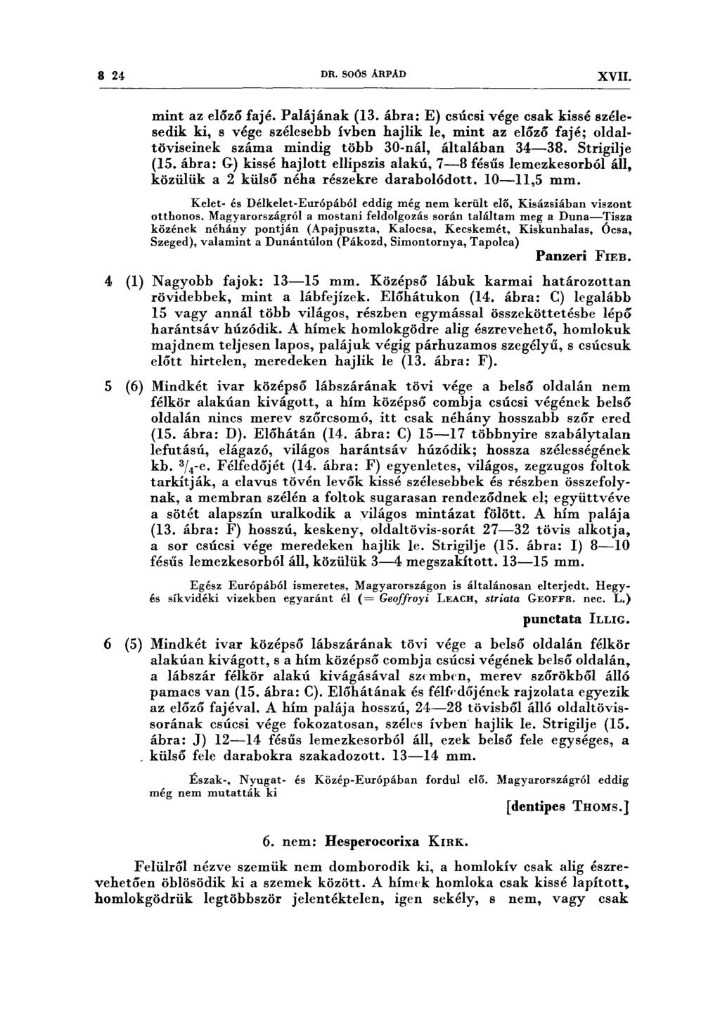 8 24 DR. SOÓS ÁRPÁD XVII. mint az előző fajé. Palájának (13.