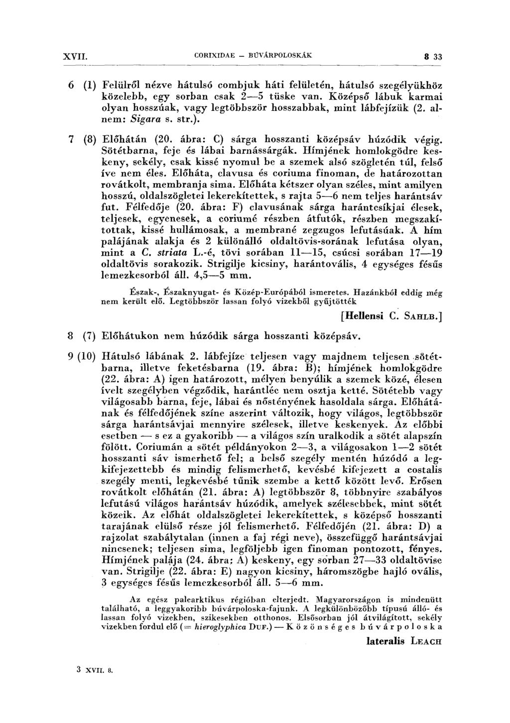 XVII. CORIXIDAE - BÚVÁRPOLOSKÁK 8 33 6 (l) Felülről nézve hátulsó combjuk háti felületén, hátulsó szegélyükhöz közelebb, egy sorban csak 2-5 tüske van.