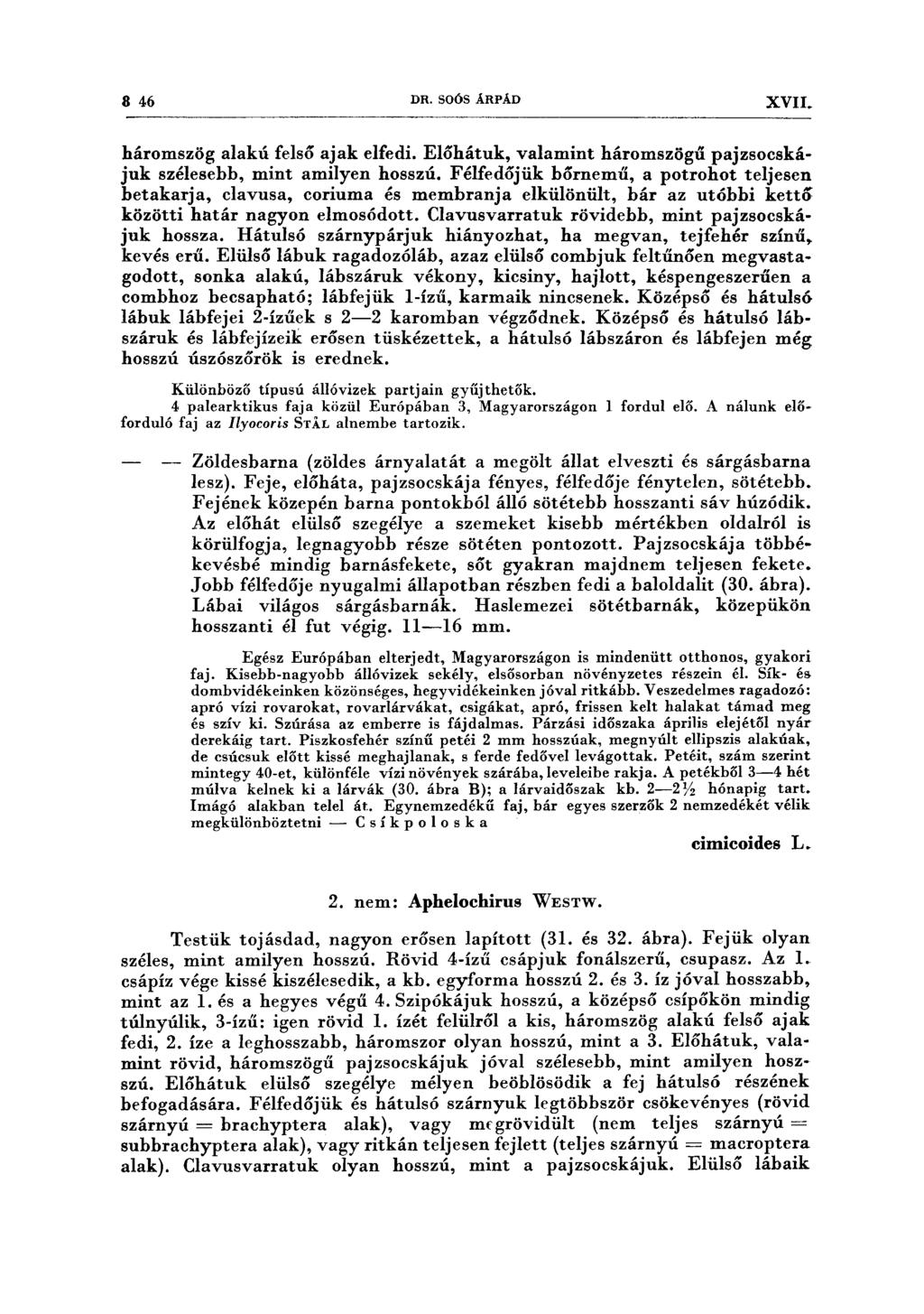8 46 DR. SOÓS ÁRPÁD XVII. háromszög alakú felső ajak elfedi. Előhátuk, valamint háromszögű pajzsoeskájuk szélesebb, mint amilyen hosszú.