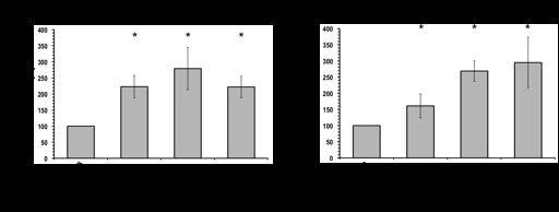 A teljes PKD mennyiséget a PKD1 ellen termeltetett ellenanyag (a-pkd) segítségével mutattam ki.
