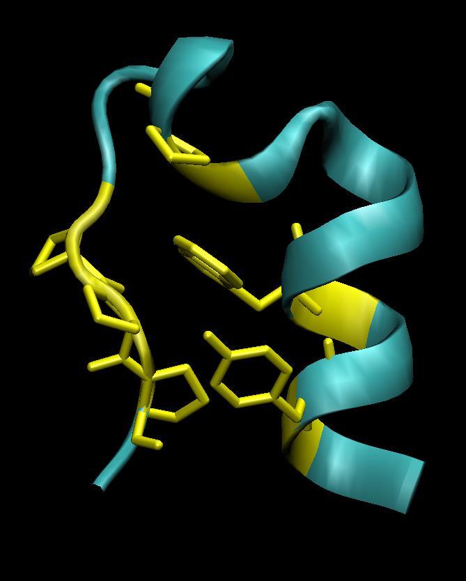 Alátámasztás Fehérjék: Bakteriorodopszin Mioglobin Fotoaktív sárga fehérje Trp-cage miniprotein Pro 12 Módszerek: Kinetikus spektroszkópia Neutron-diffrakció Infravörös