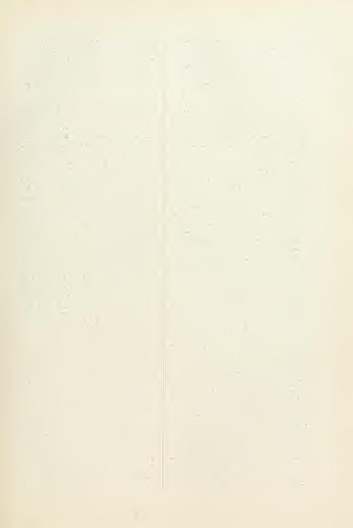 191 Sziczilia körül, úgy hogy a eléli oldala Afrikát éri. Kiterjedbb esnk 13-ikán volt. 14, 15., 16-án Angol- és Franciaország körül van alacsony légnyomás. Márczius 17 21.