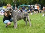 International dog show Bratislava 16.08.2008 16.08.2008 judge: G.