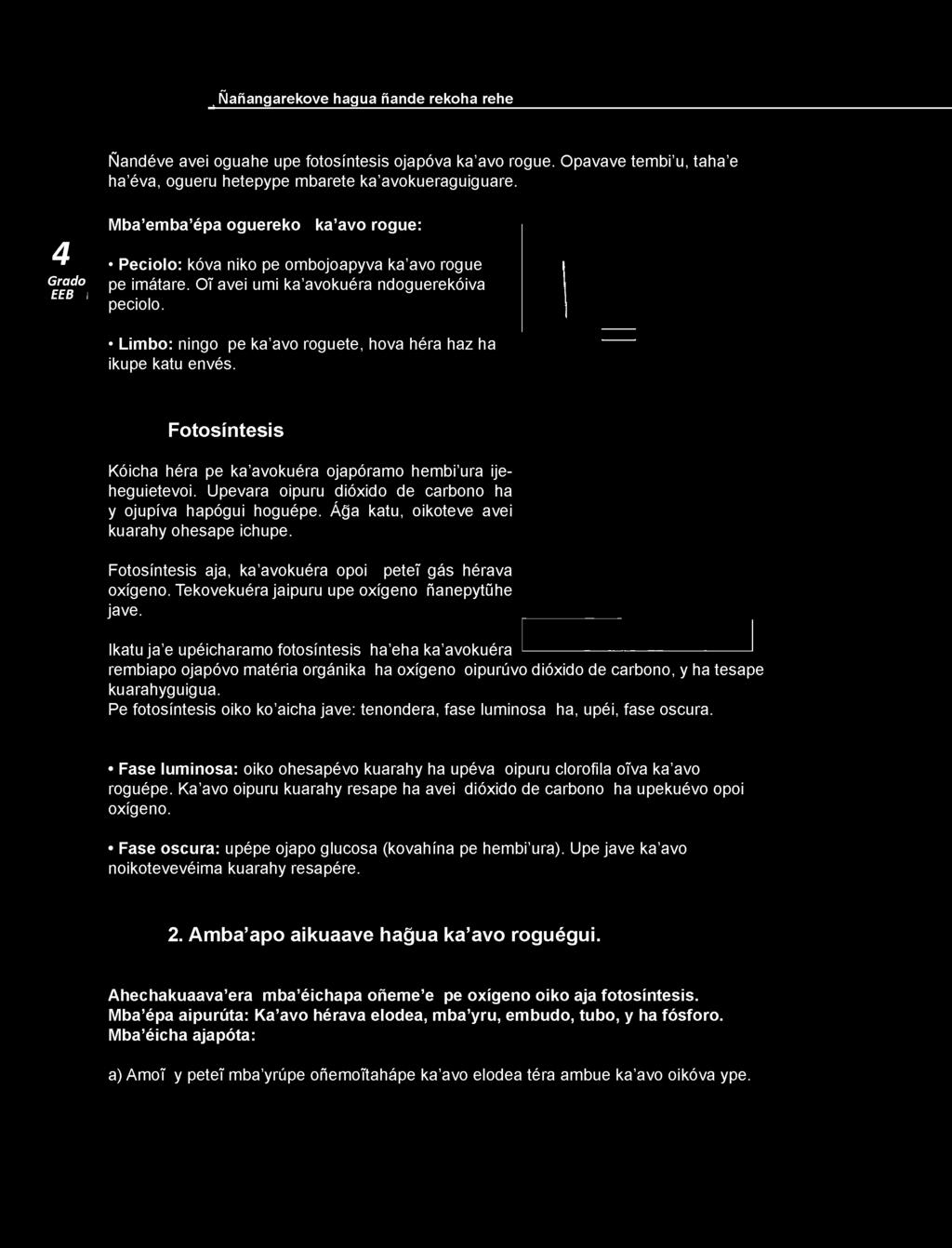 Limbo: ningo pe ka avo roguete, hova héra haz ha ikupe katu envés. Fotosíntesis Kóicha héra pe ka avokuéra ojapóramo hembi ura ijeheguietevoi.
