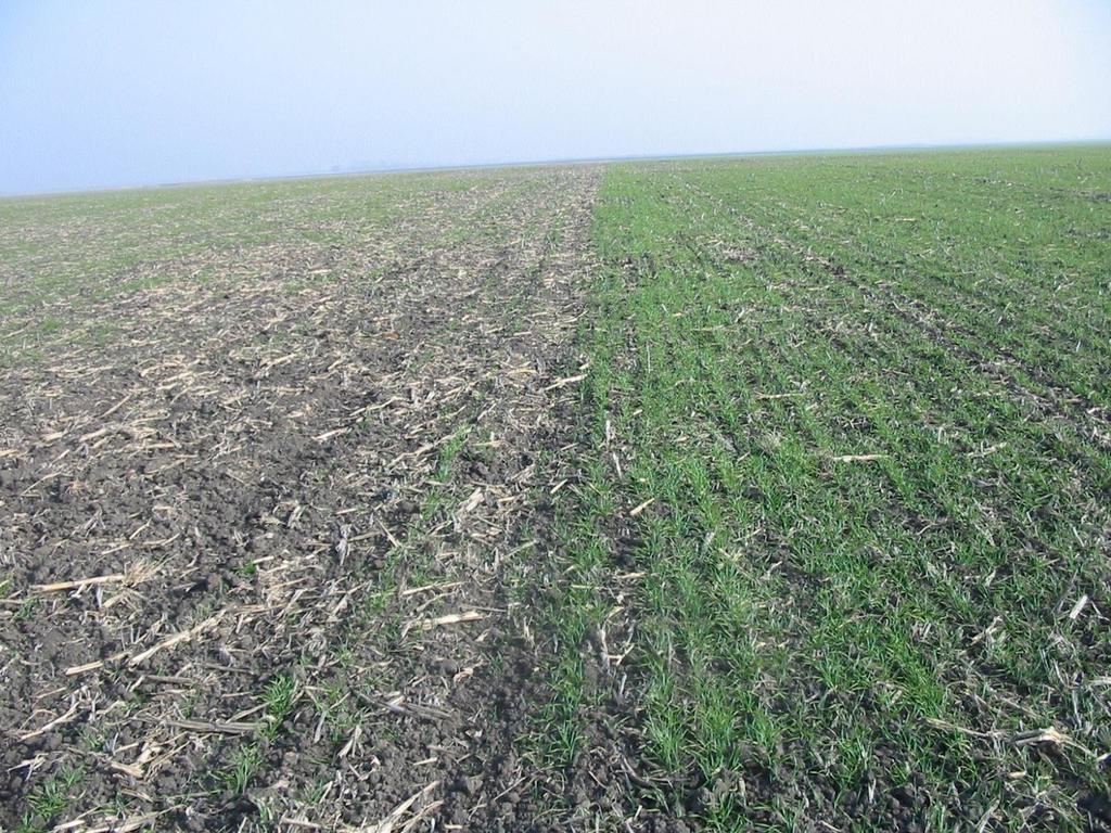 IH 6200