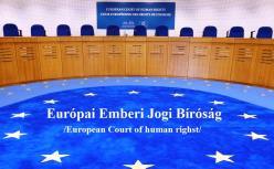 Sajnos el kell fogadni, hogy a jogi, így különösen a bírósági eljárásokban, akár a hazai, akár a nemzetközi előírások nem határoznak meg olyan konkrét határidőt, amely alatt a bíróságoknak ki kellene