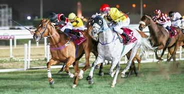 3 45 (11) Faster Now-La Primera-Taco Boy 2017.10.22 7/13 36.5 1600 Kincsem Park (2.5) IV. kat. Zdenko Smida 56.5 1:41.2 55.5 (17) Klondike Fever-Rolex Boy-Nirwana 2017.08.