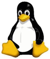Nagyon sok disztribúciónak az alapja (pl. Ubuntu, Knoppix). A Debian a Debora (Ian felesége) és Ian nevéből származik. 4. Ubuntu Egyik legnépszerűbb Debian-alapú disztribúció, amit a Canonical Ltd.