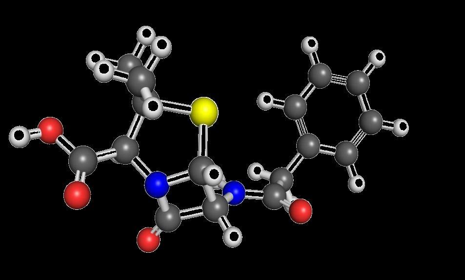 ogyan működik, amíg hat a penicillin (aciltranszfer): A penicillin és fontosabb típusai: kérdés: