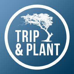 Trip & Plant helps you to calculate the caused emission of your trip and helps you to donate