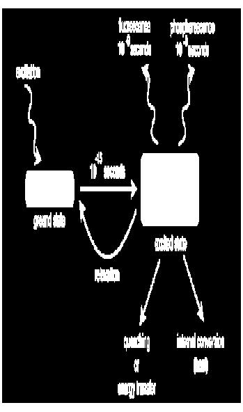 Jablonski diagramm A gerjesztett állapotú elektron lecsengési lehetőségei Gerjesztés Fluoreszcencia 10-9 s k f Foszforeszcencia