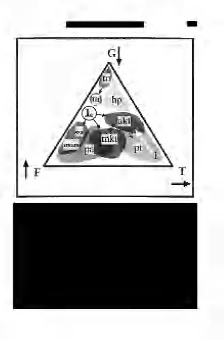 NÉMETH К.: Vízalatti vulkanizmus jelenségei 439 13. ábra. Diagram a különböző típusú gravitációs tömegfolyásokat működtető erők bemutatására. Jelek a 9.