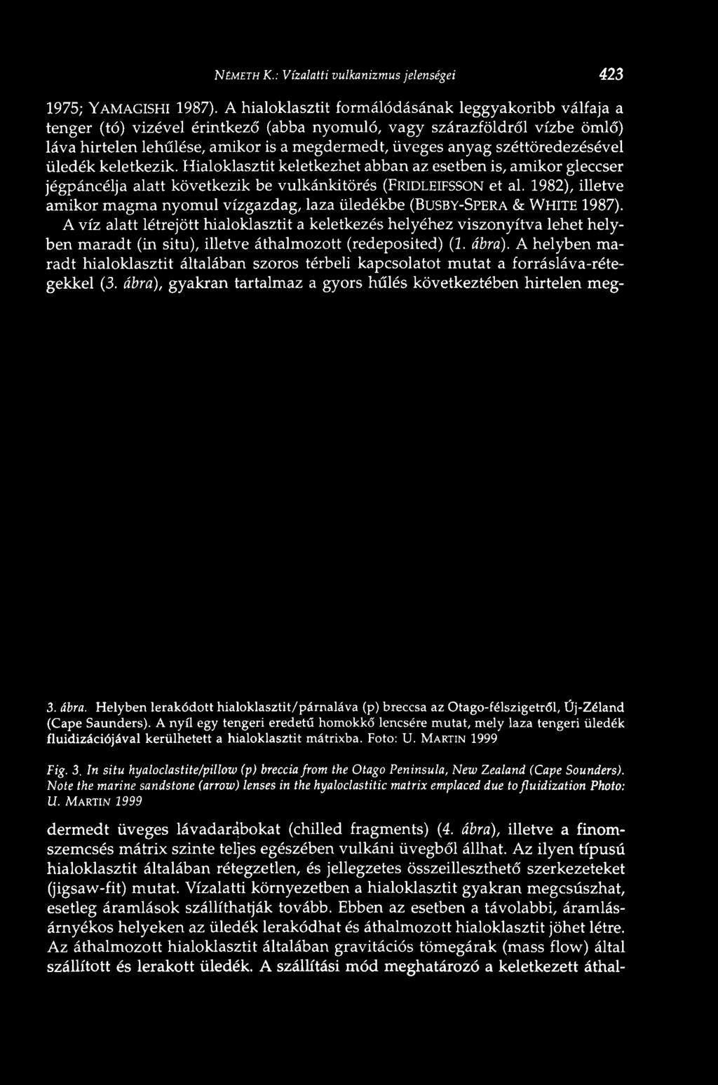 NÉMETH К.: Vízalatti vulkanizmus jelenségei 423 1975; YAMAGISHI 1987).