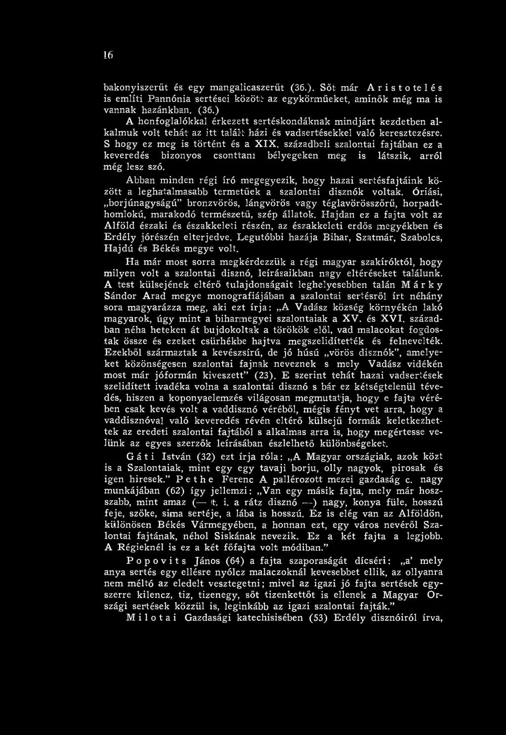 Abban m inden régi író m egegyezik, hogy hazai sertésfajtáin k között a leghatalmasabb term etűek a szalontai disznók voltak.