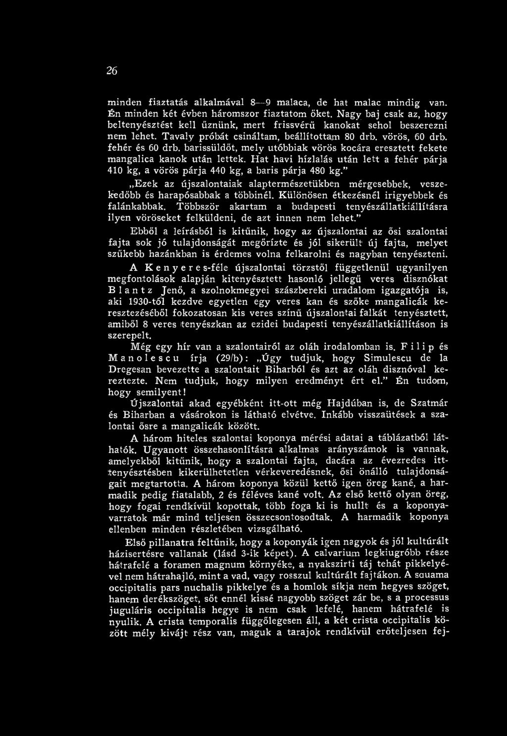 Többször akartam a budapesti tenyészállatkiállításra ilyen vöröseket felküldeni, de azt innen nem lehet.