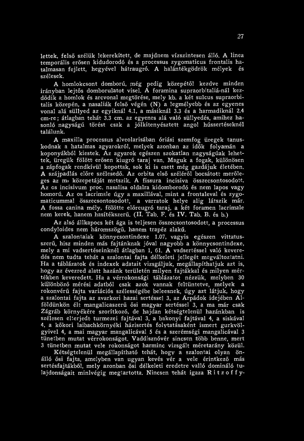 az egyenes alá való süllyedés, amihez hasonló nagyságú törést csak a jólkitenyésztett angol hússertéseknél találunk.