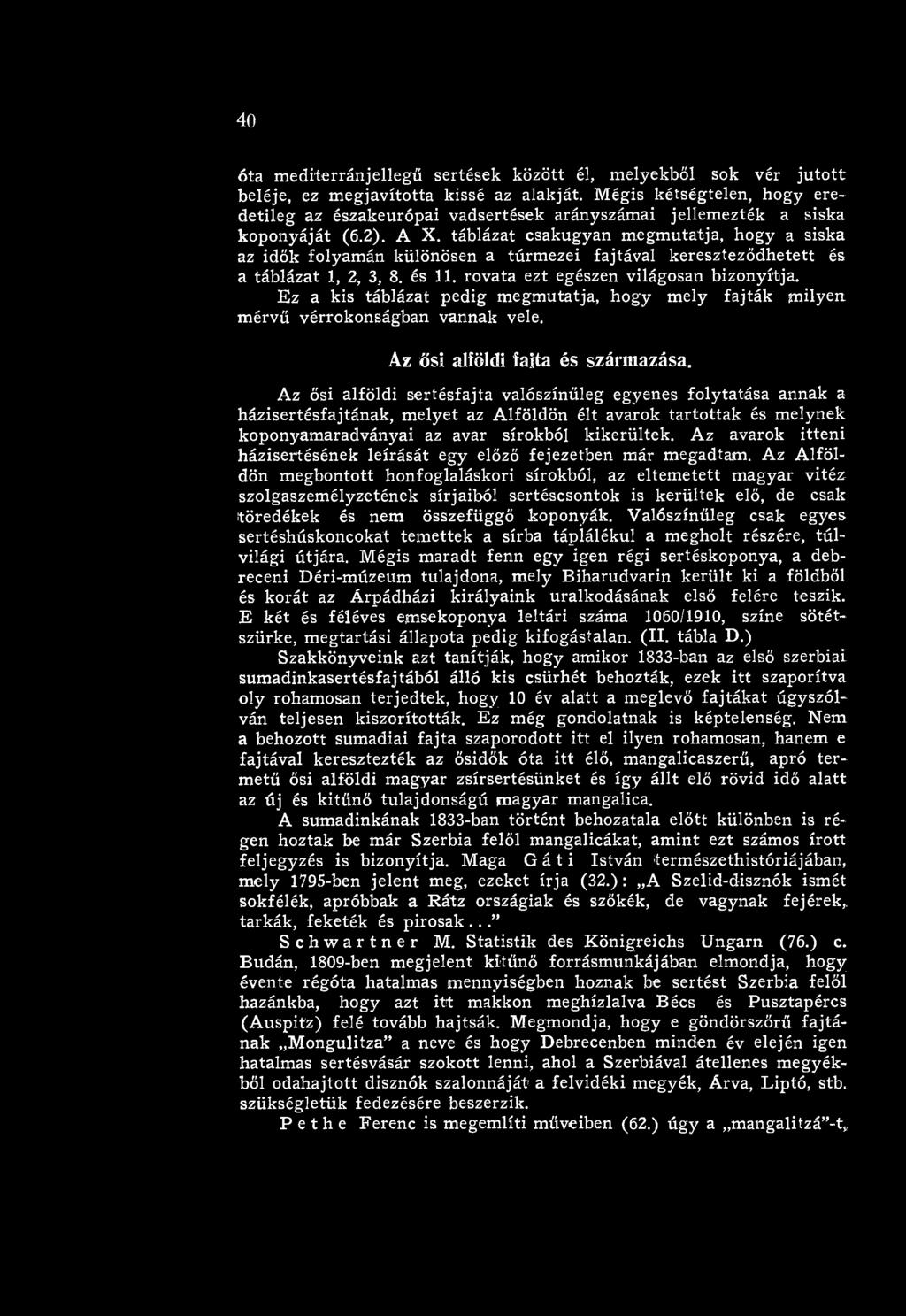 Az ősi alföldi sertésfajta valószínűleg egyenes folytatása annak a házisertésfajtának, m elyet az A lföldön élt avarok tarto ttak és m elynek koponyam aradványai az avar sírokból kikerültek.