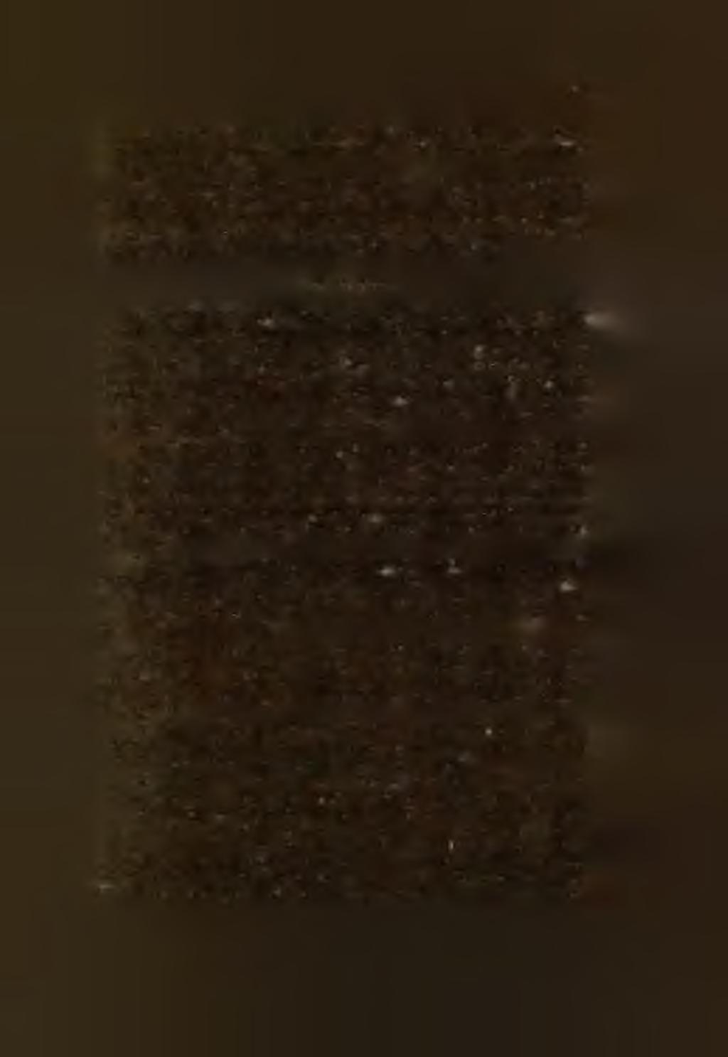 Lelőhelye megmagyarázza, hogy hogy került aránylag sok szalontai vér beléje, egyébként pedig u ralk o d o tt benne a vadsertésvér. A réti disznó.