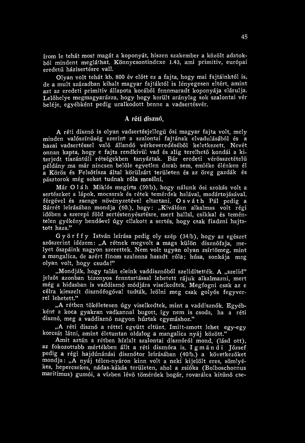 Nevét onnan kapta, hogy e fa jta rendkívül vad és alig terelhető kondái a k i terjedt tiszántúli rétségekben tanyáztak.