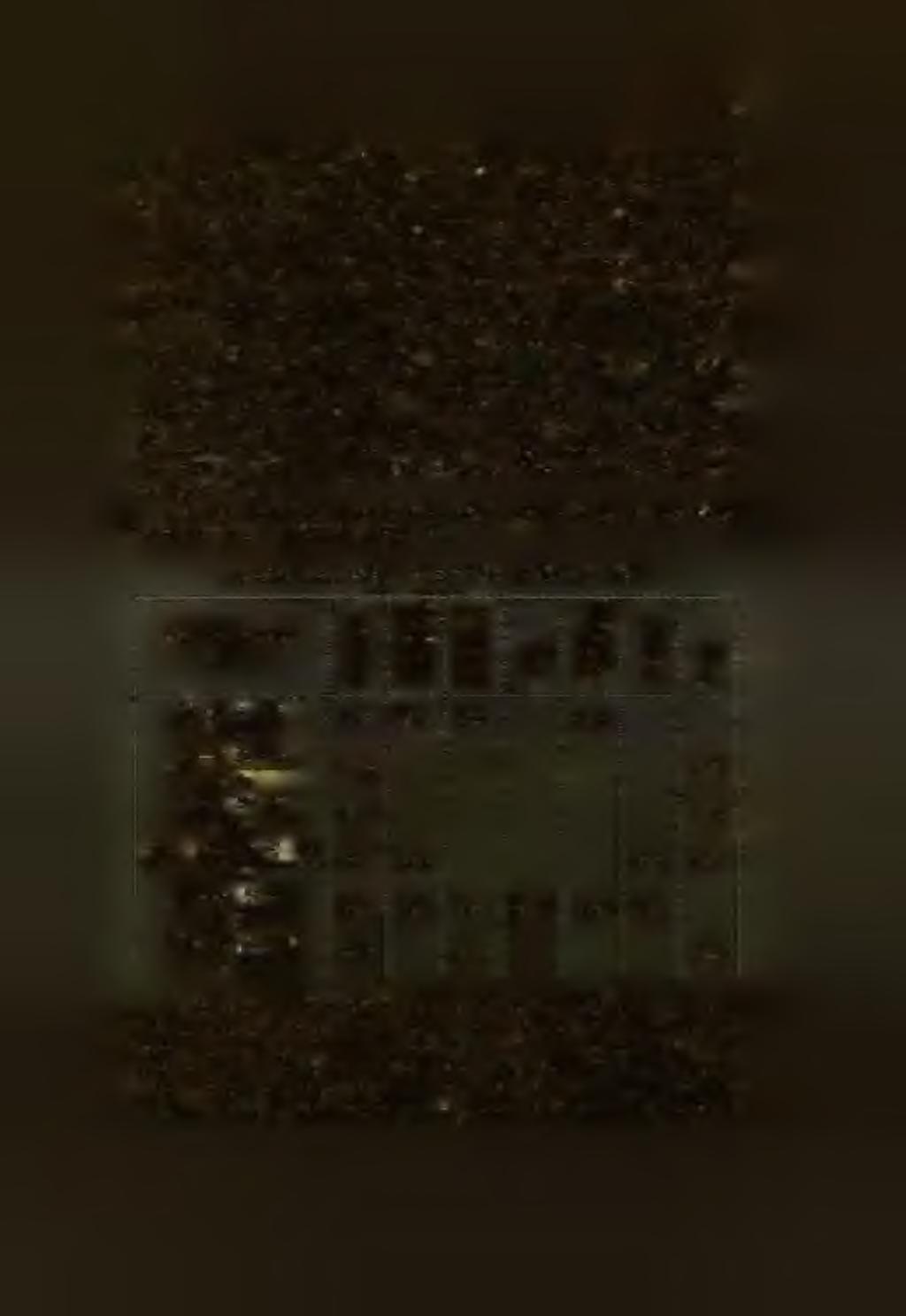 E fajtának két változata van, egy sima- és egy göndörszőrű. Feje közepes hosszúságú, arcvonala behorpadt, orrakarim ája rózsaszínű, de barna foltos.
