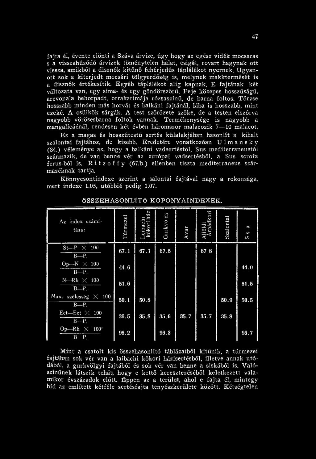 Term ékenysége is nagyobb a m angalicáénál, rendesen két évben három szor m alacozik 7 10 malacot. Ez a magas és hosszútestű sertés külalakjában hasonlít a kihalt: szalontai faj tához, de kisebb.
