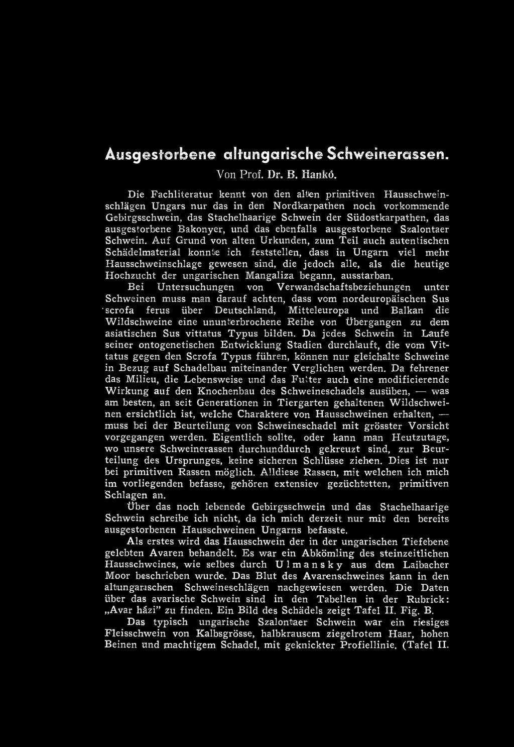 ochzucht dér ungarischen M angaliza begann, ausstarban.