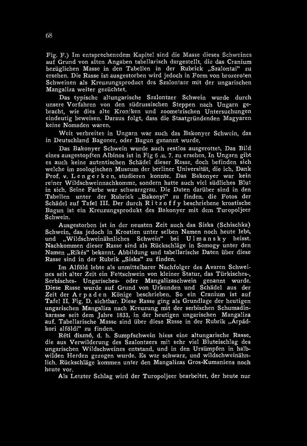 Das B akonyer Schwein w urde auch restlos ausgerotteti. Das B ild eines ausgestopften Albinos ist in Fig 6.u. 7. zu ersehen.