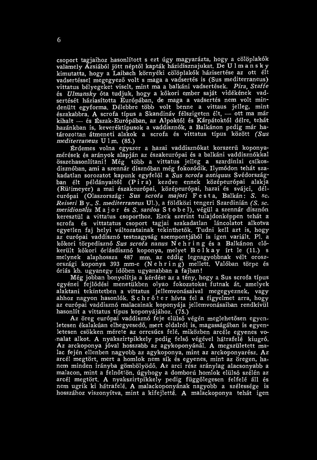 vadsertések. Pira, Staffe és U lm ansky óta tu djuk, hogy a kőkori ember saját vidékének vadsertését h áziasította E urópában, de m aga a vadsertés nem volt m indenütt egyforma.