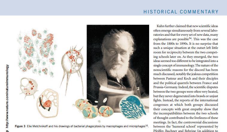 1882-ben az orosz származású zoológus, Eli Metchnikoff figyelt fel először azokra a különleges sejtekre, amelyek a tengeri csillag lárvájába fúródó rózsatüskét néhány óra leforgása alatt körülveszik.