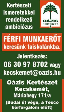 alábbi pozíciókra Csomagoló 4-8órás