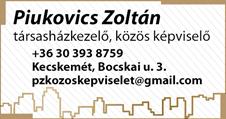Az értesítő tartalmazza az adózó előző év(ek)ről eredő tartozását, esetleges túlfizetését, és a 2019. évre esedékes helyi adókat, valamint a gépjárműadót.