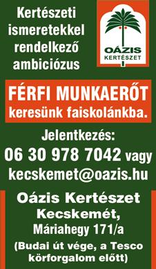 vagy tértivevényes levélben értesítette.