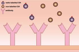 Enzyme-linked