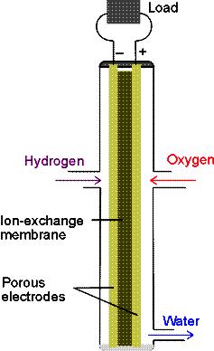 Ktlizátor kell, T = 7 14 C nódrekció: 2H 2 (g) + 4OH 4H 2 O + 4e któdrekció: O 2 (g) + 2H 2 O(l) + 4e 4OH Más (természetben előforduló) nygok (pl.