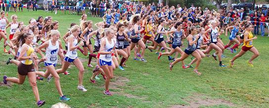1 8:03 5/6 17/22 5/6 JUNIOR/VARSITY Place Name Time Pace Rank Squad Rank in School Rank vs Comp Improvement 4 Alexis Lee 13:36.2 6:48 1/11 7/22 4/16 15 Morgan Withers 14:03.