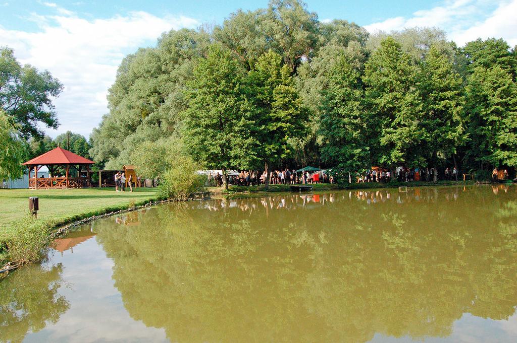 madarakat. A Zselic mindegyik évszakban tartogat meglepetéseket. A Zselicben barangoló turisták több kijelölt túraútvonalat járhatnak be, egy részüket kerékpáron is.