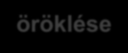 Túlélő házastárs öröklése (3) Felmenők/oldalági rokonok mellett - A teljes hagyaték: angol és dán