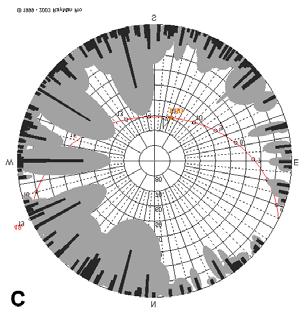 After the sunrise T mrt values increased quickly on the roof ( T mrt _r ) with sky view factor of 1 and in the case of trees only ( T mrt _t ).