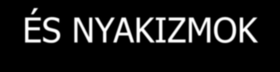 bordaszöglet által alkotott barázdában találhatók Ágyéki és alsó