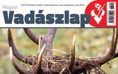 vadászvizsgára felkészítő cég A