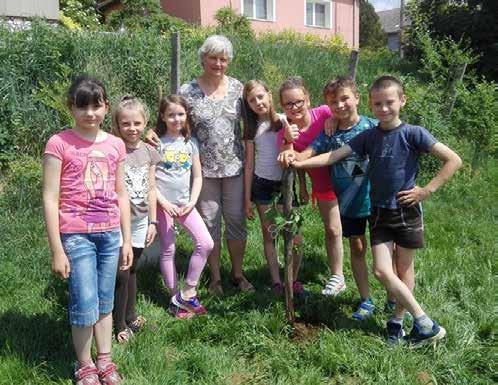 5 osztálya lett, egy napot tölthettek a Pákozd-Sukorói Arborétumban.