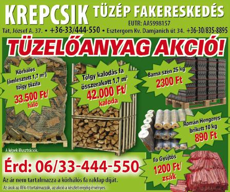 Rövid határidővel vállal: Bádogos munkákat, Teraszok építését, illetve tetők javítását.